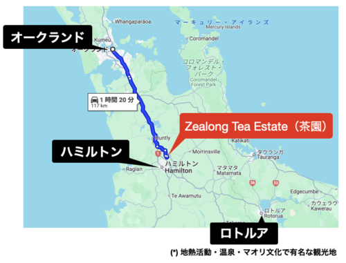 Zealong tea estateの行き方